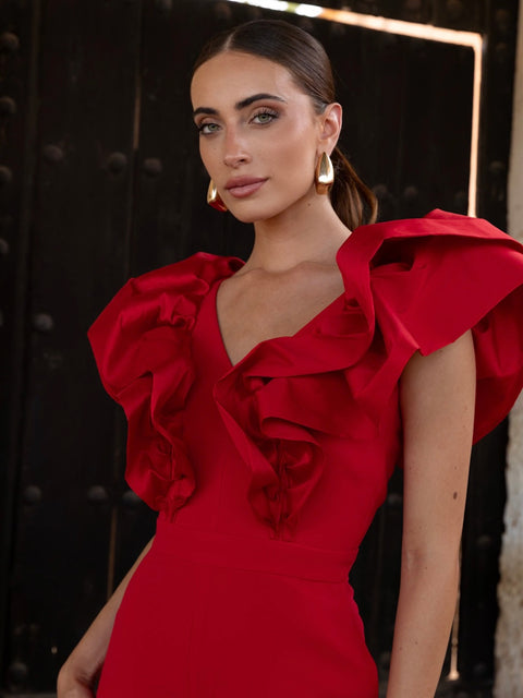 Mono Valentina Rojo